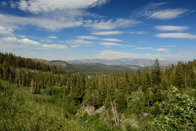 DSC_0071 (Large).JPG